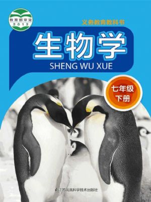 տư꼶²