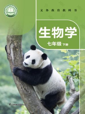 տư꼶²(2025°)