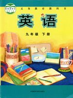 外研版九年级英语下册