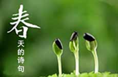 春天的诗句
