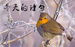 描写冬天的诗句