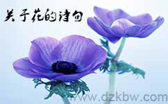 ,关于写花的诗句,描写写花的诗句