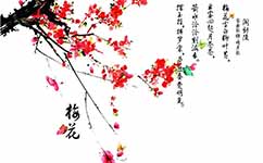 梅花的诗句